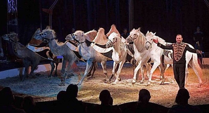 foto: © House of Entertainment