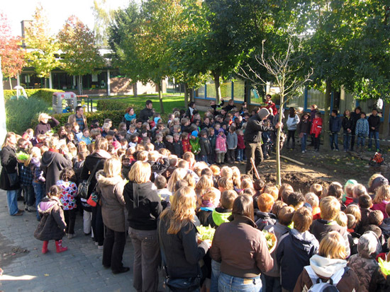 De schoolkinderen rond de nieuw aangeplante notelaar, het symbool van een groene Laarschool.